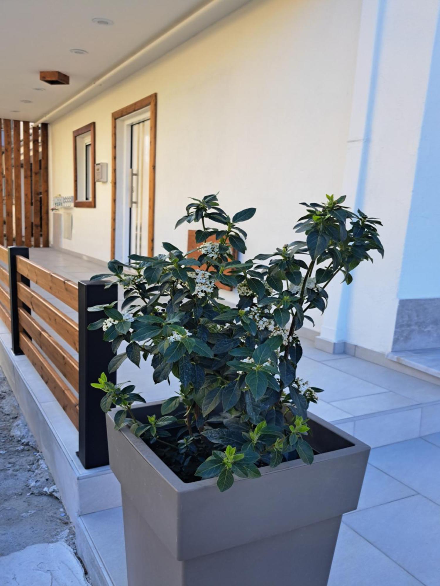 Ithaca Σπίτι Με Αυτόνομη Είσοδο Apartment Thessaloniki Exterior photo